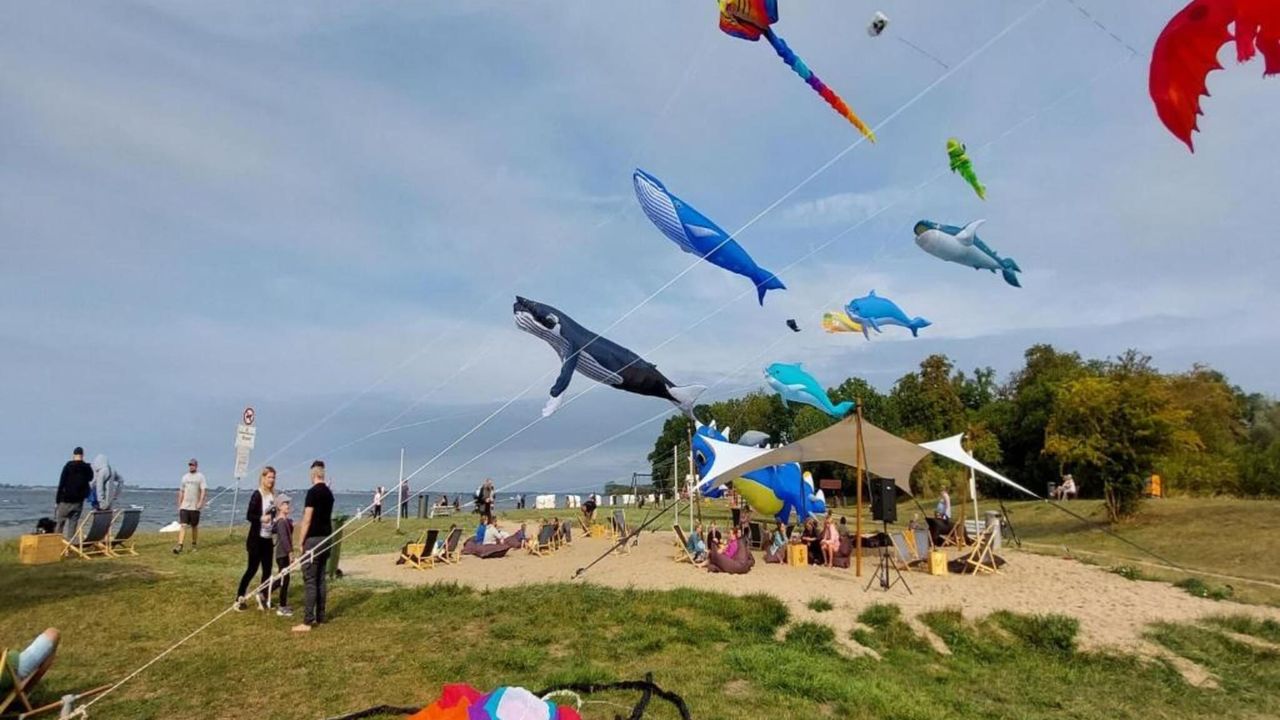 AreaSummer5KM AreaSummer5KM